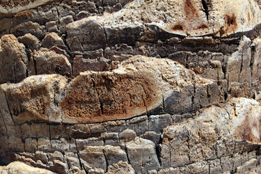 Similar image 2073322