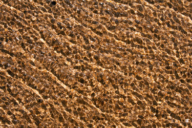 Similar image 2073325