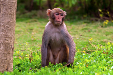 Similar image 2073331