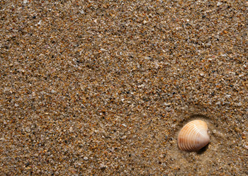 Similar image 2073333