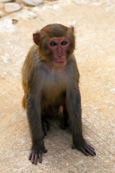 Similar image 2073334