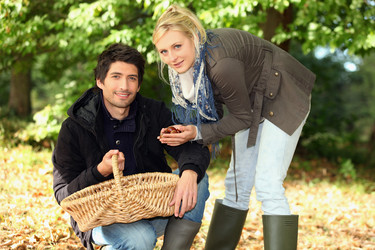 Similar image 2073522