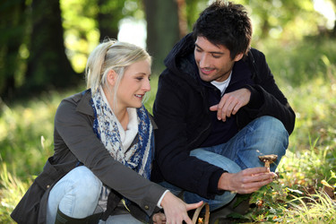 Similar image 2073523