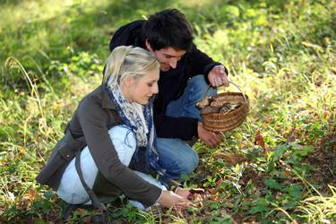 Similar image 2073524