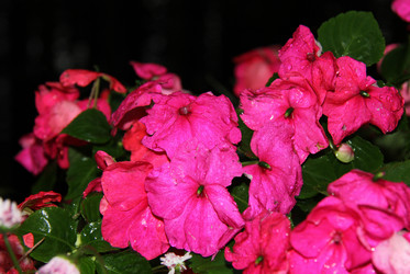 Similar image 2073714