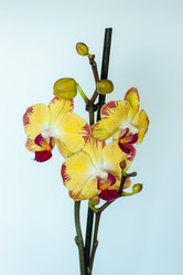 Similar image 2074267