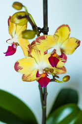 Similar image 2074268