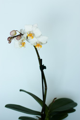 Similar image 2074269