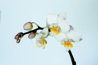 Similar image 2074271