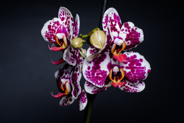 Similar image 2074273