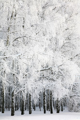 Similar image 2104722