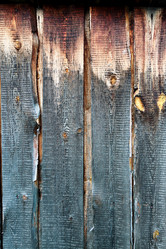 Similar image 2104913