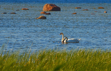 Similar image 2105577