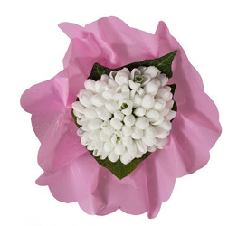 Similar image 2105746