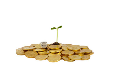 Similar image 2105751