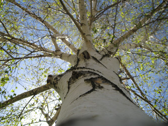 Similar image 2106425