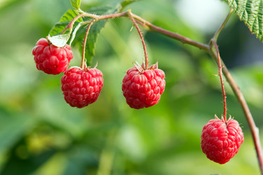 Similar image 2106664