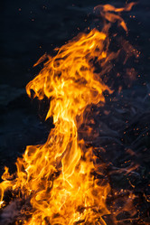 Similar image 2107864