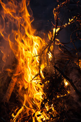 Similar image 2107865