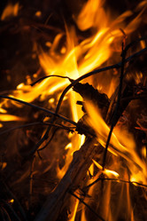 Similar image 2107870