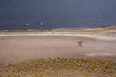 Similar image 2107884