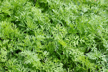 Similar image 2108088