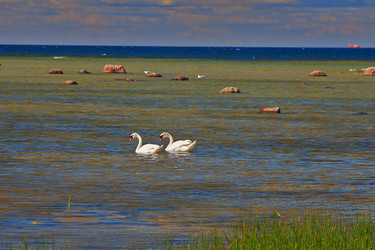 Similar image 2108363