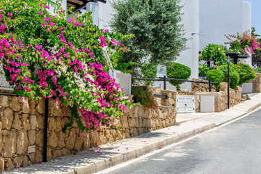 Similar image 2108718