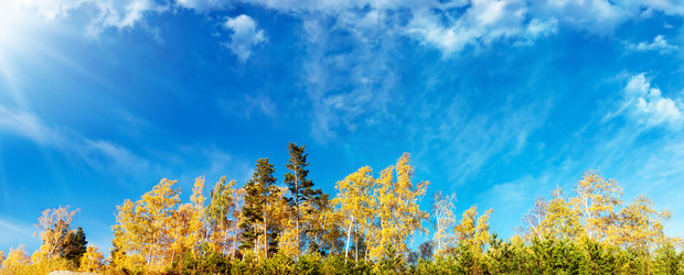 Similar image 2108873