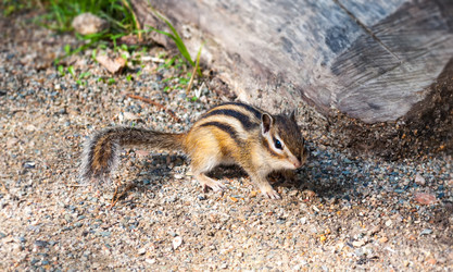 Similar image 2108877