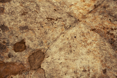 Similar image 2108882