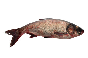 Similar image 2108955