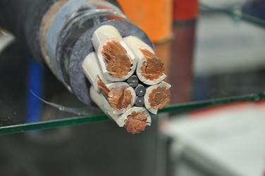 Similar image 2109564