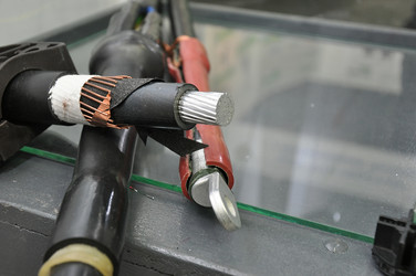 Similar image 2109576