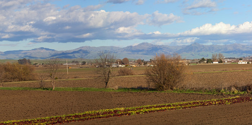 Similar image 2110018