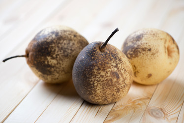 Similar image 2111320