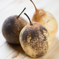 Similar image 2111356