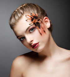 Similar image 2112239