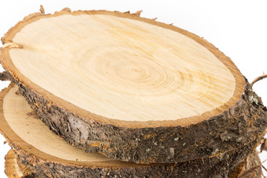 Similar image 2112919