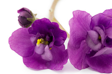 Similar image 2113017