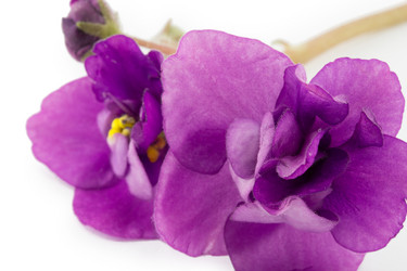 Similar image 2113020