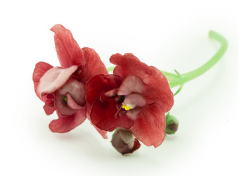 Similar image 2113066