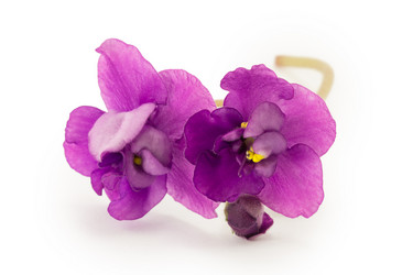 Similar image 2113070