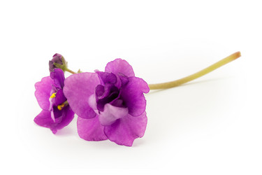 Similar image 2113073