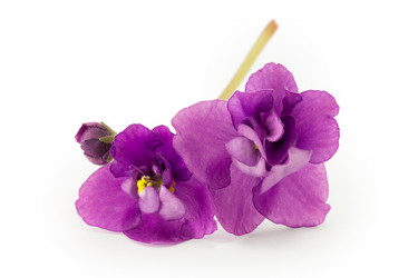 Similar image 2113076