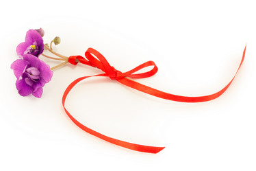 Similar image 2113081