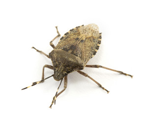 Similar image 2113144