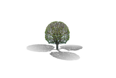 Similar image 2113576