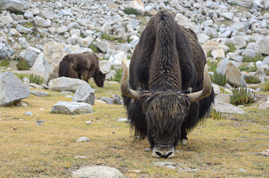 Similar image 2113682