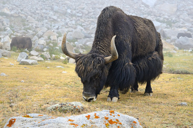 Similar image 2113689